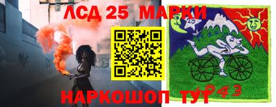 гашик Вышний Волочёк