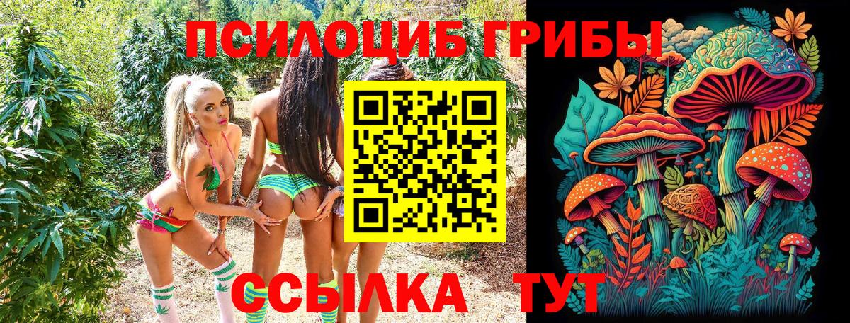 Псилоцибиновые грибы ЛСД Троицк